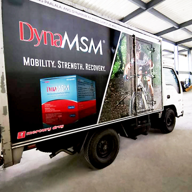 DynaMSM